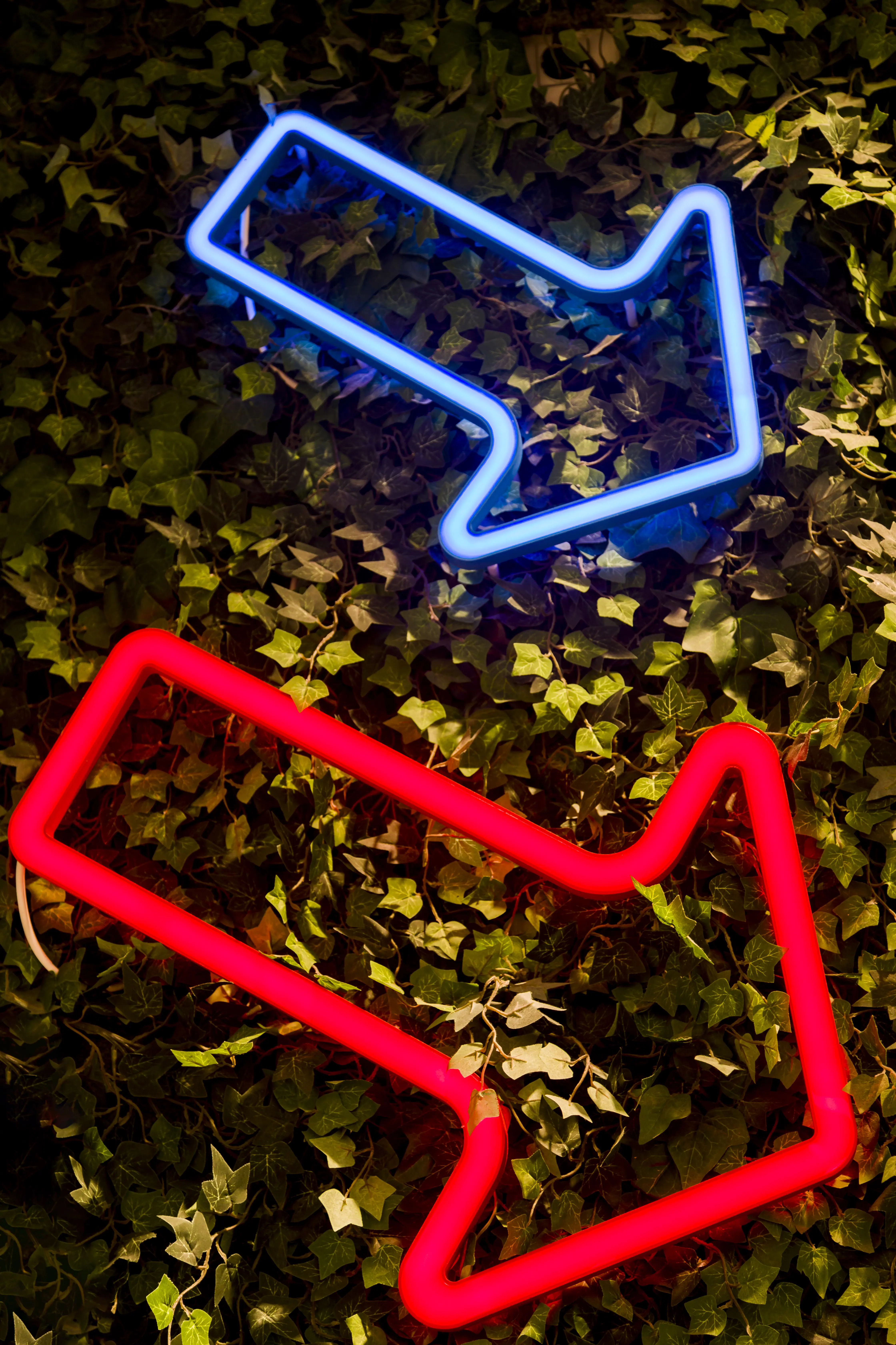 neon-signal-shop.jpg