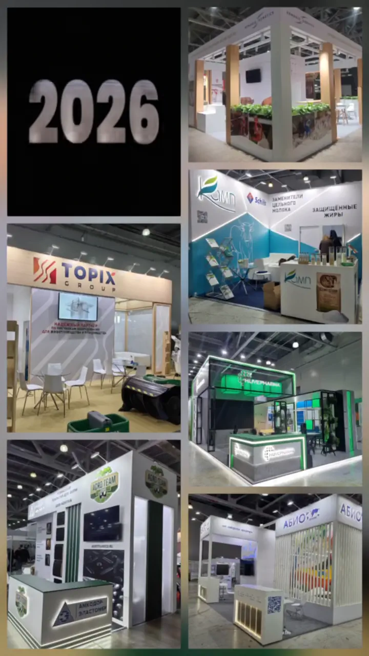 Мы в 2026 году