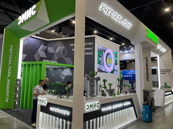 ЭМИС ПМГФ 2025