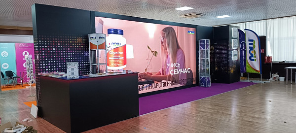 Muse Media Репродуктивный потенциал РФ 2024